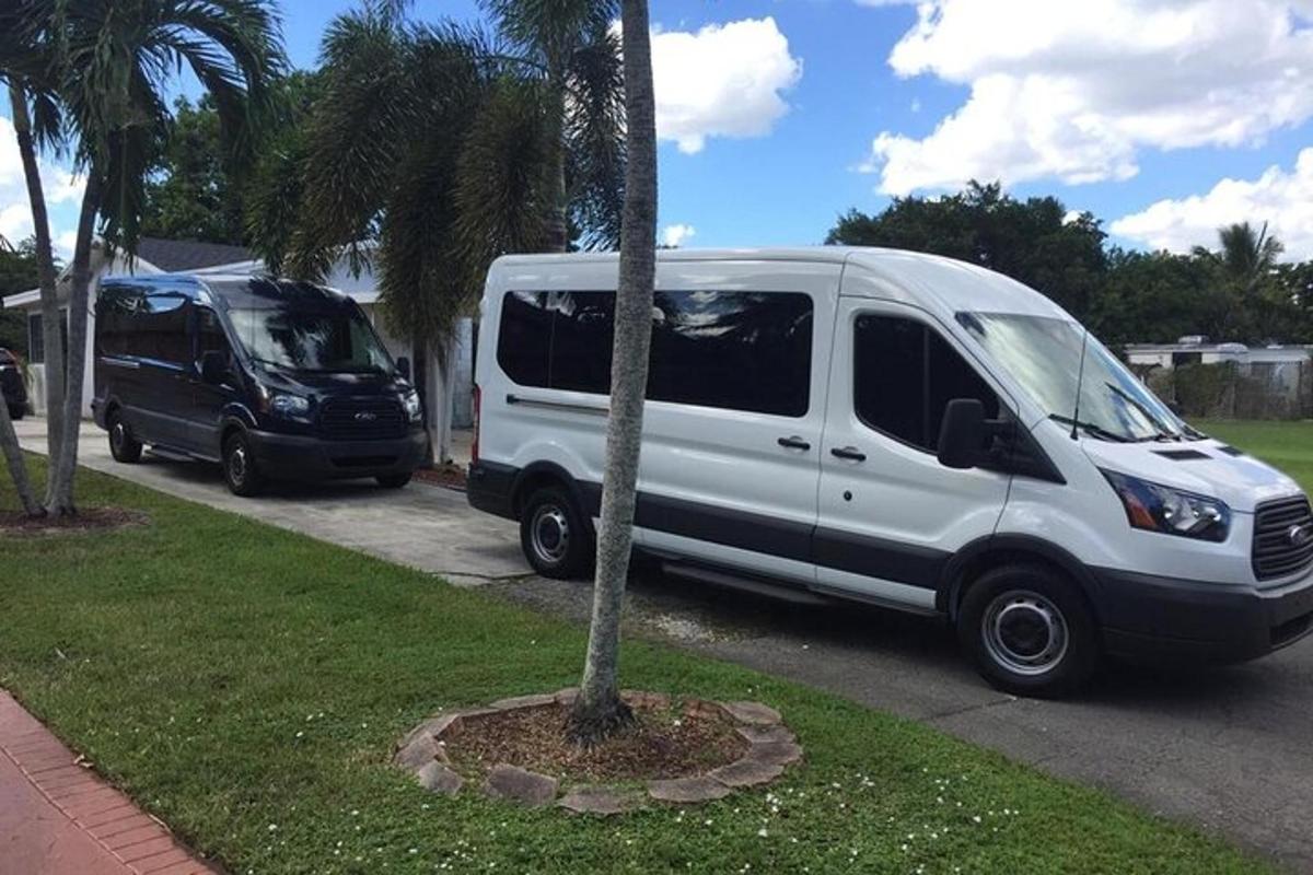 een witte bestelwagen staat geparkeerd naast een palmboom