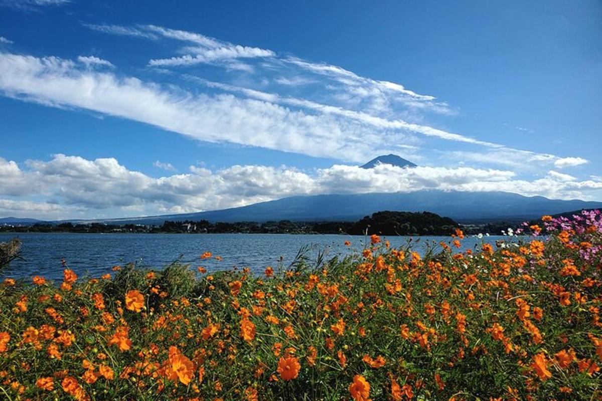 水辺のそばにある花畑