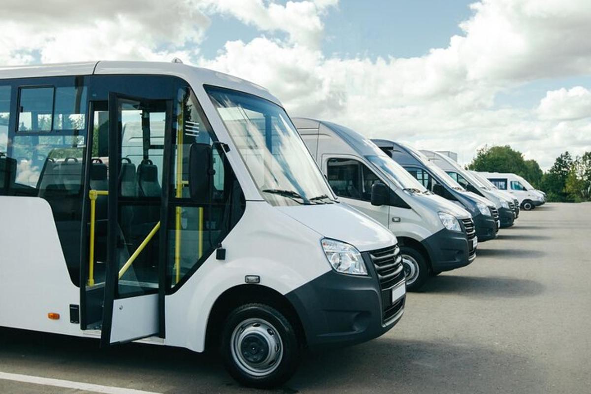 a row of white buses parked in a parking lot