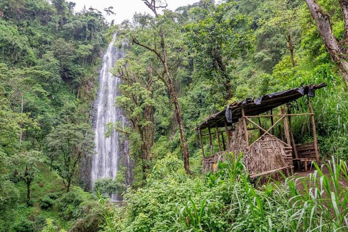ein Wasserfall mitten im Wald
