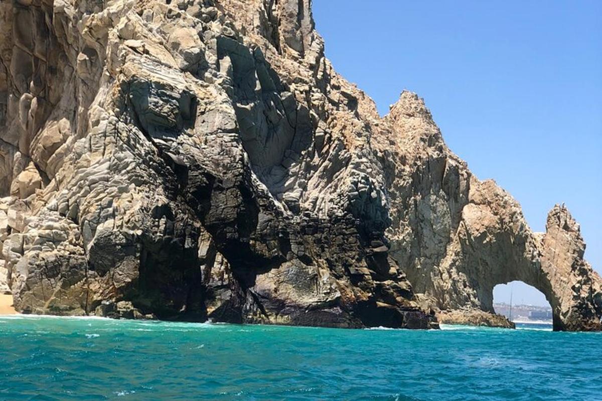 лук на страни стеновите планине