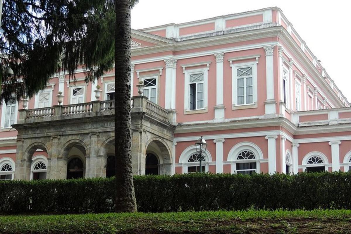 un edifici rosa amb una palmera al davant