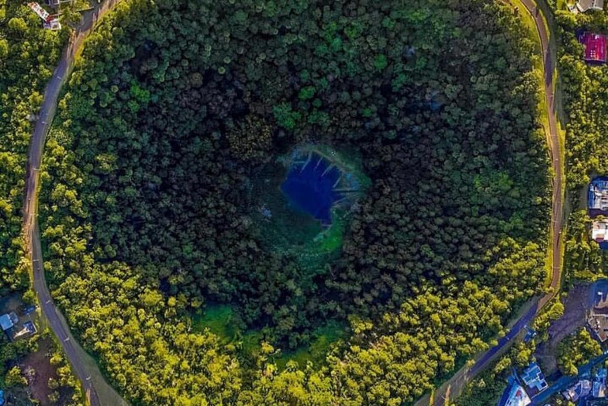 pohled shora na kruh stromů a silnici