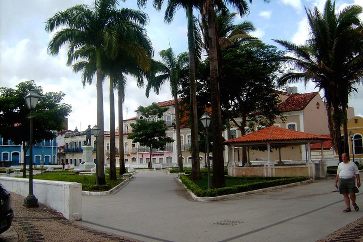 a man walking down a street with palm trees