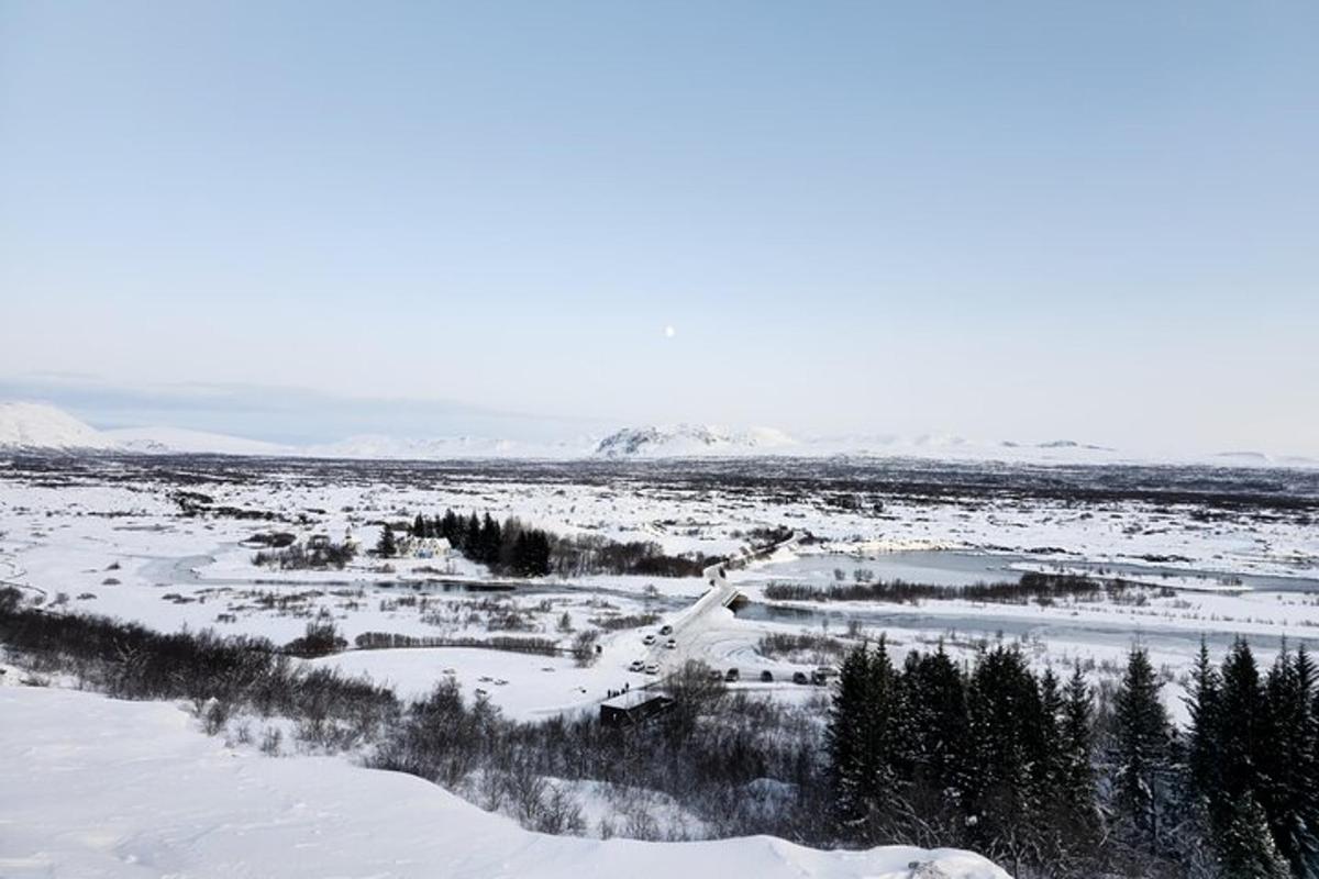 et snødekt felt med trær og en elv