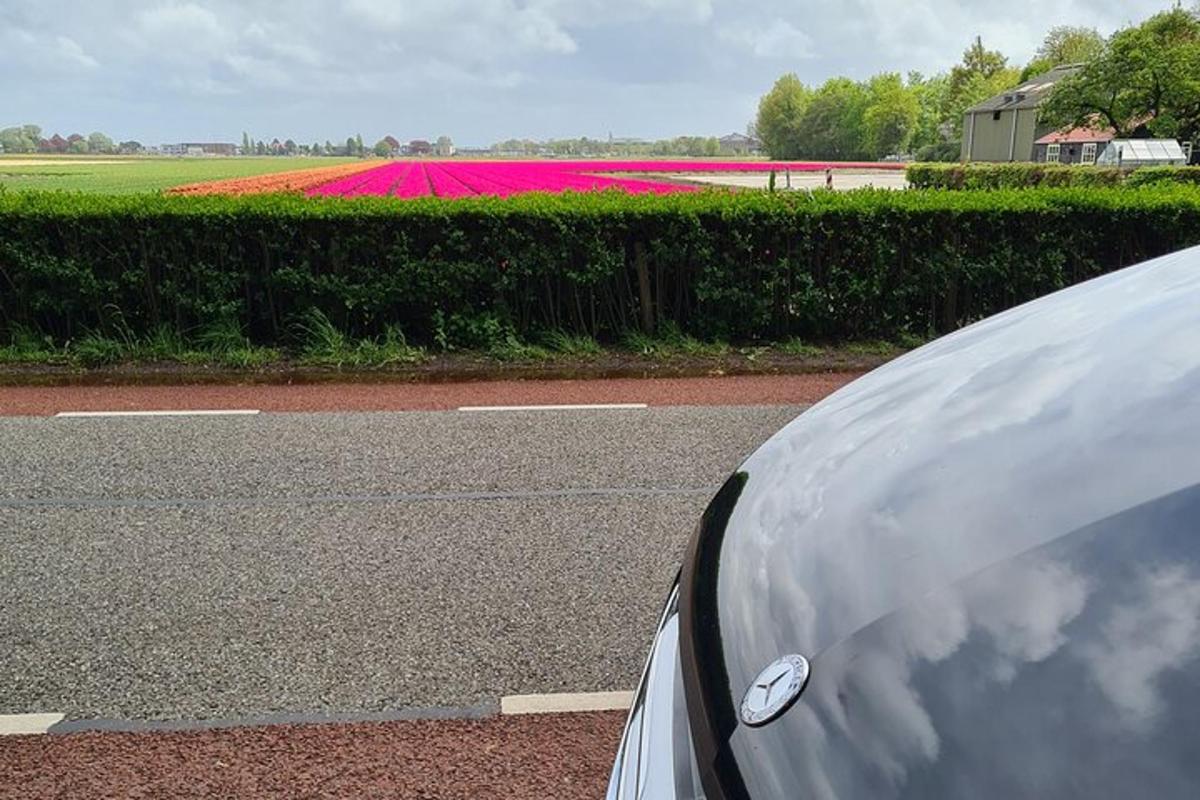 egy virágmezővel borított út szélén parkoló autó