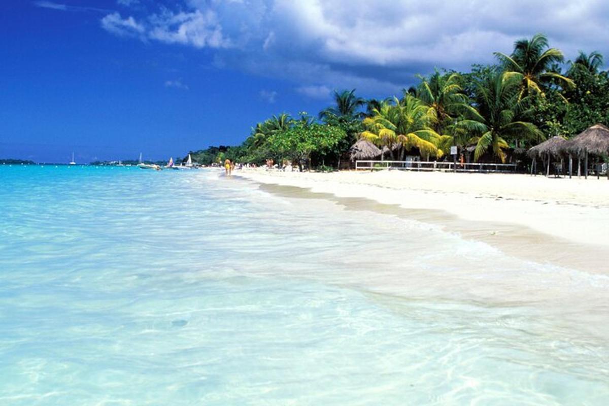 una spiaggia con palme e acqua azzurra