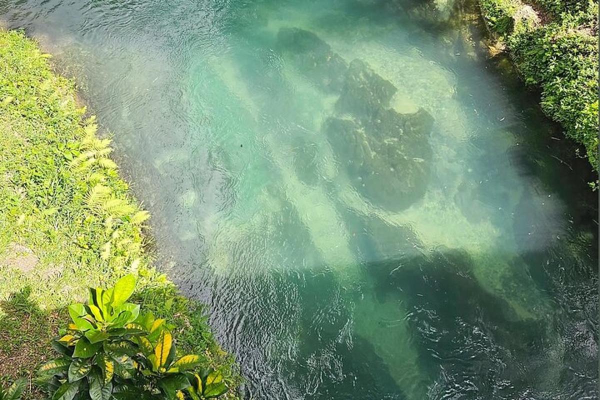 uma vista aérea de um corpo d'água