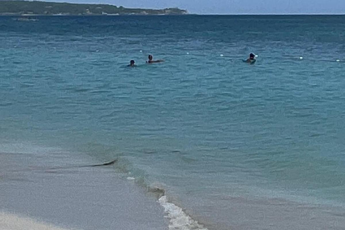 kolm inimest rannas vees ujumas