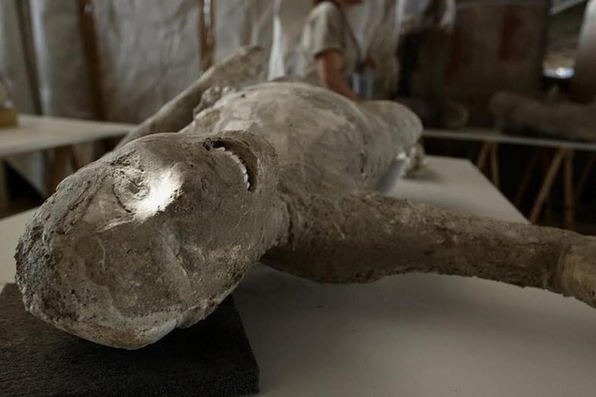 Una estatua de una extremidad de animal sentada sobre una mesa.