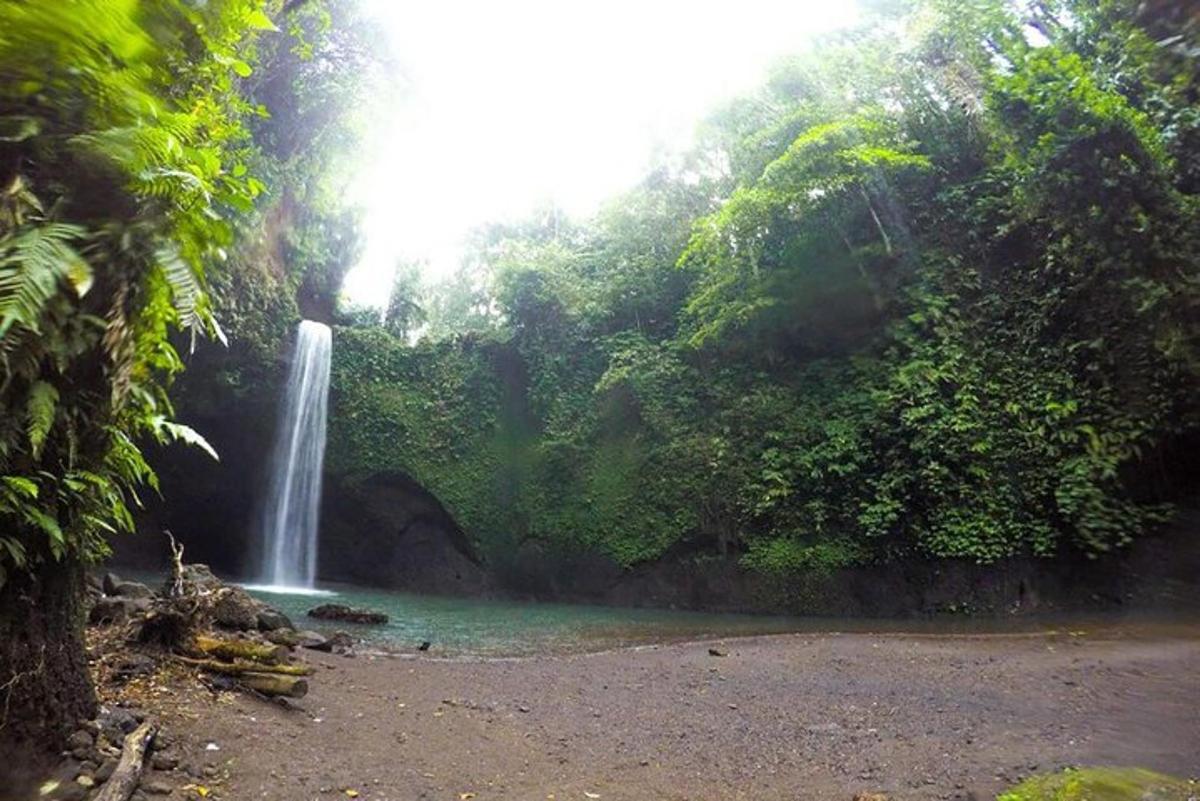una cascata in mezzo a una foresta