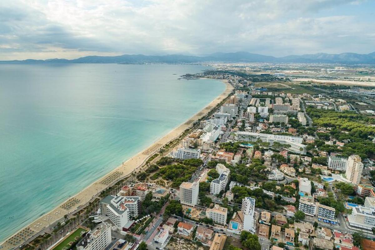 una vista aerea di una spiaggia e dell'oceano