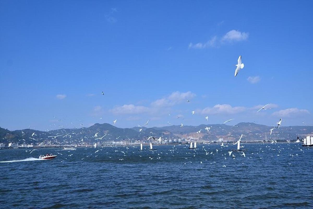 a large body of water with a boat and birds