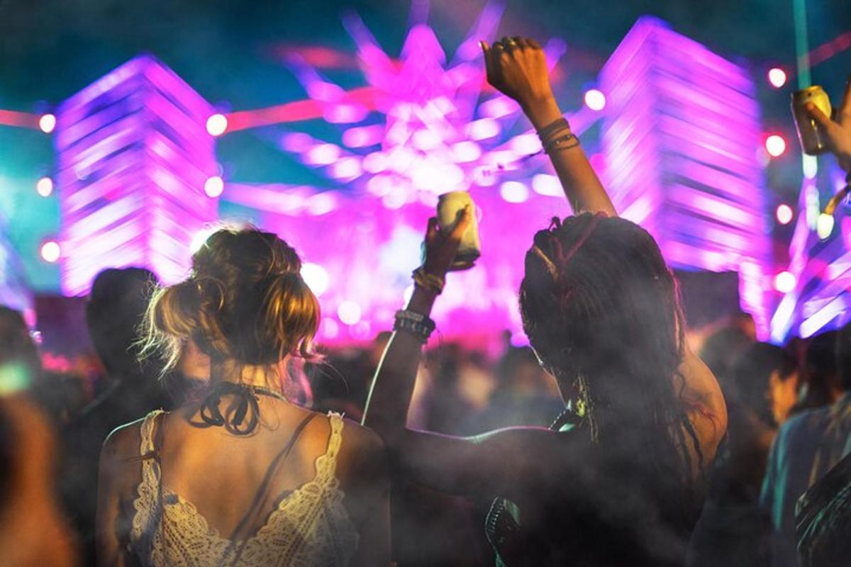 un gruppo di persone tra la folla a un concerto