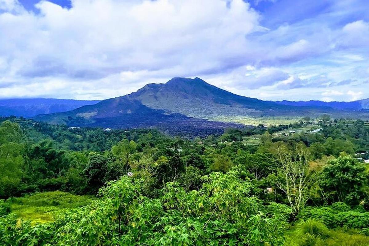 pemandangan gunung dengan pokok dan bandar