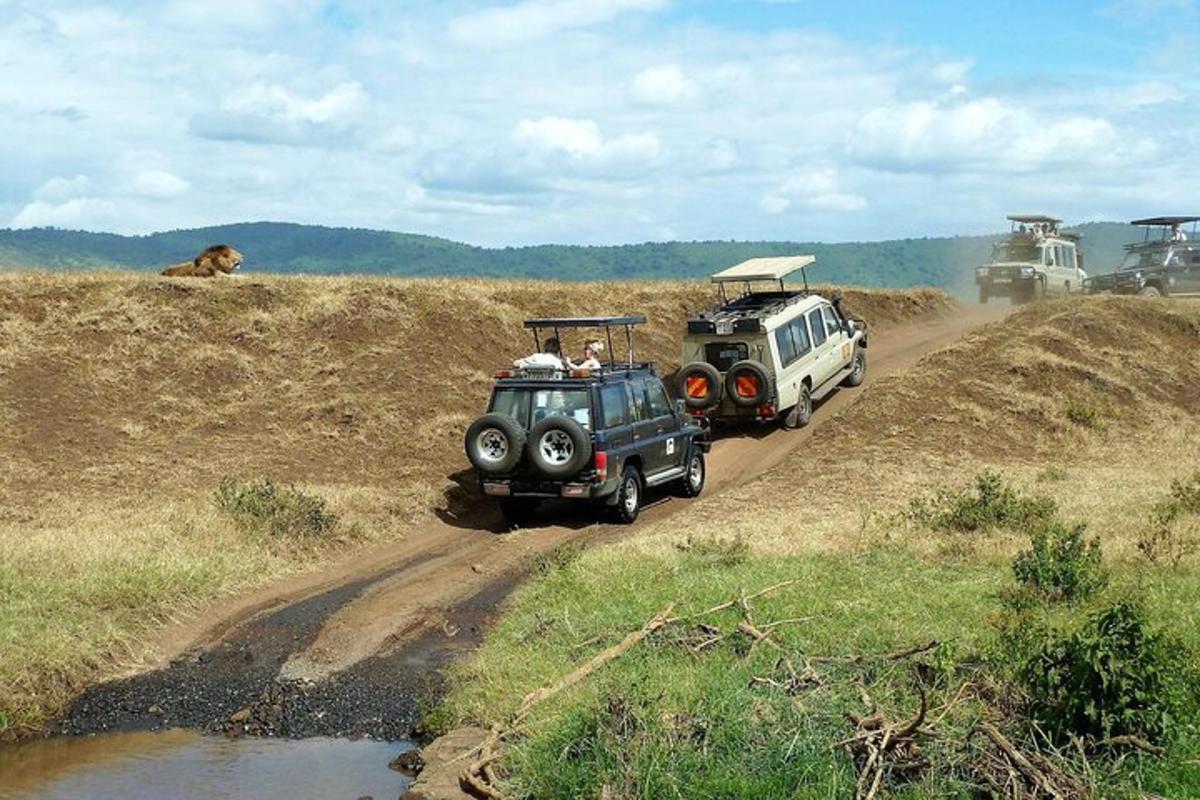 two jeepneys driving down a dirt road