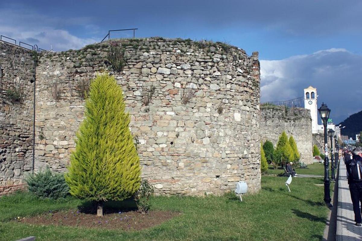 un gran mur de pedra amb un arbre al costat