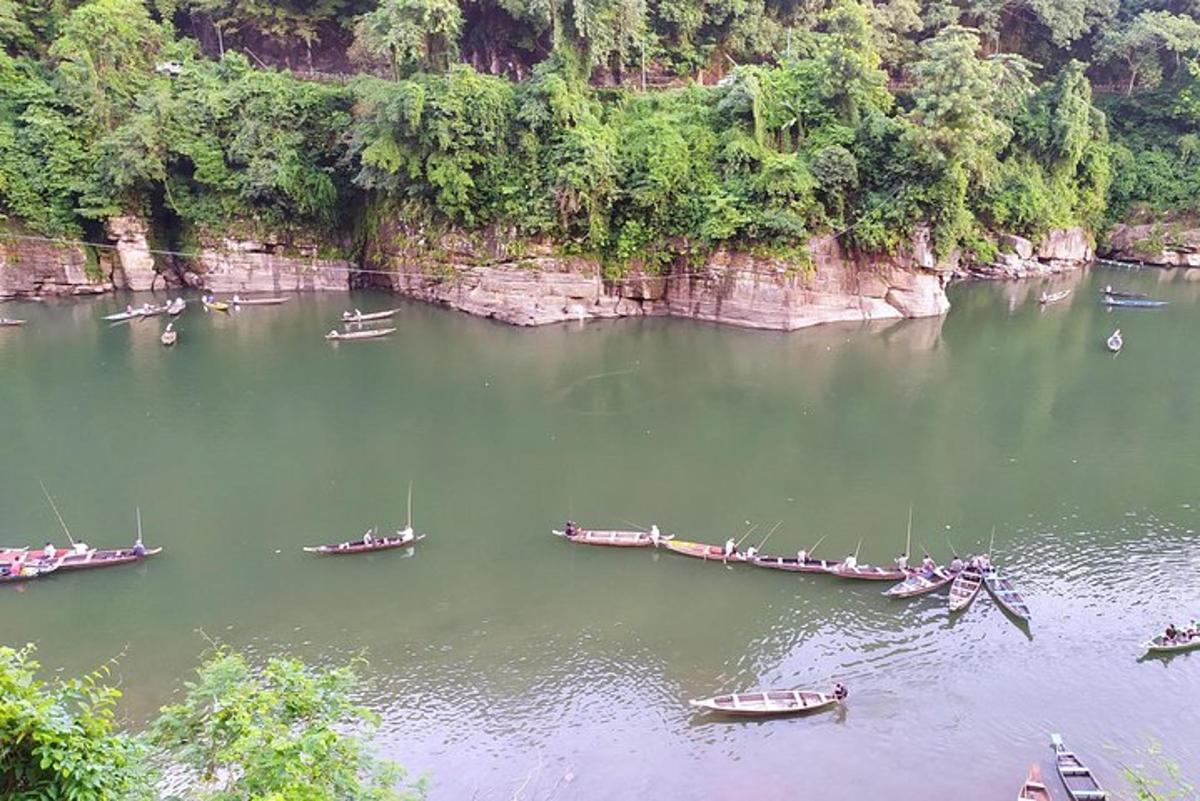 sekumpulan bot di sungai dengan pokok