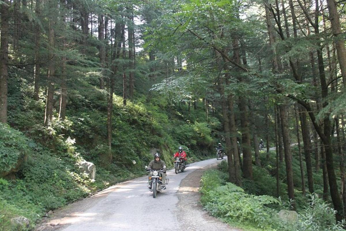 a group of people riding motorcycles down a dirt road