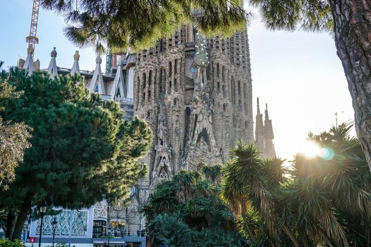 una gran catedral amb palmeres al davant