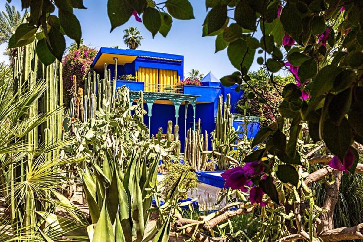 a blue building with plants in front of it