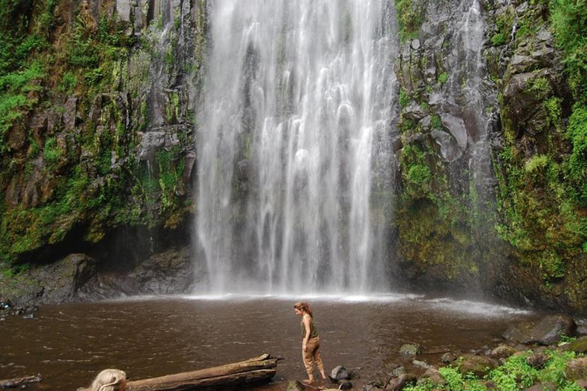 una mujer parada frente a una cascada