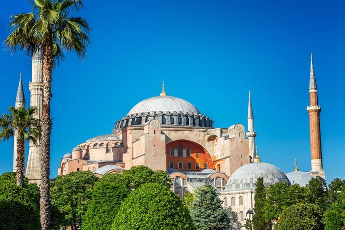 a building with domes and a mosque with a palm tree