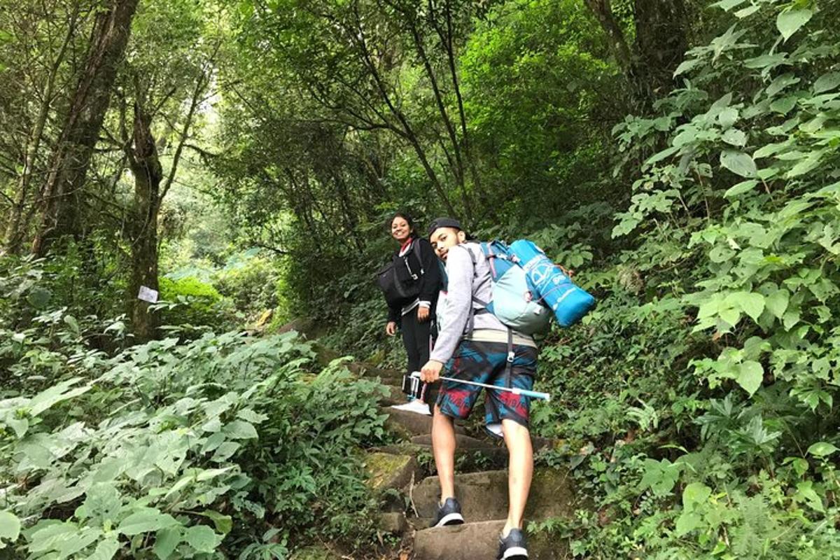 two people walking on a trail in a forest