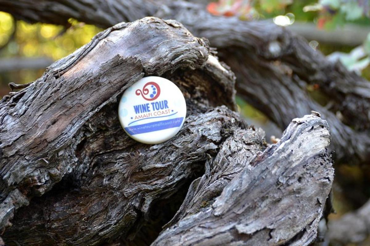a sign in the end of a tree branch
