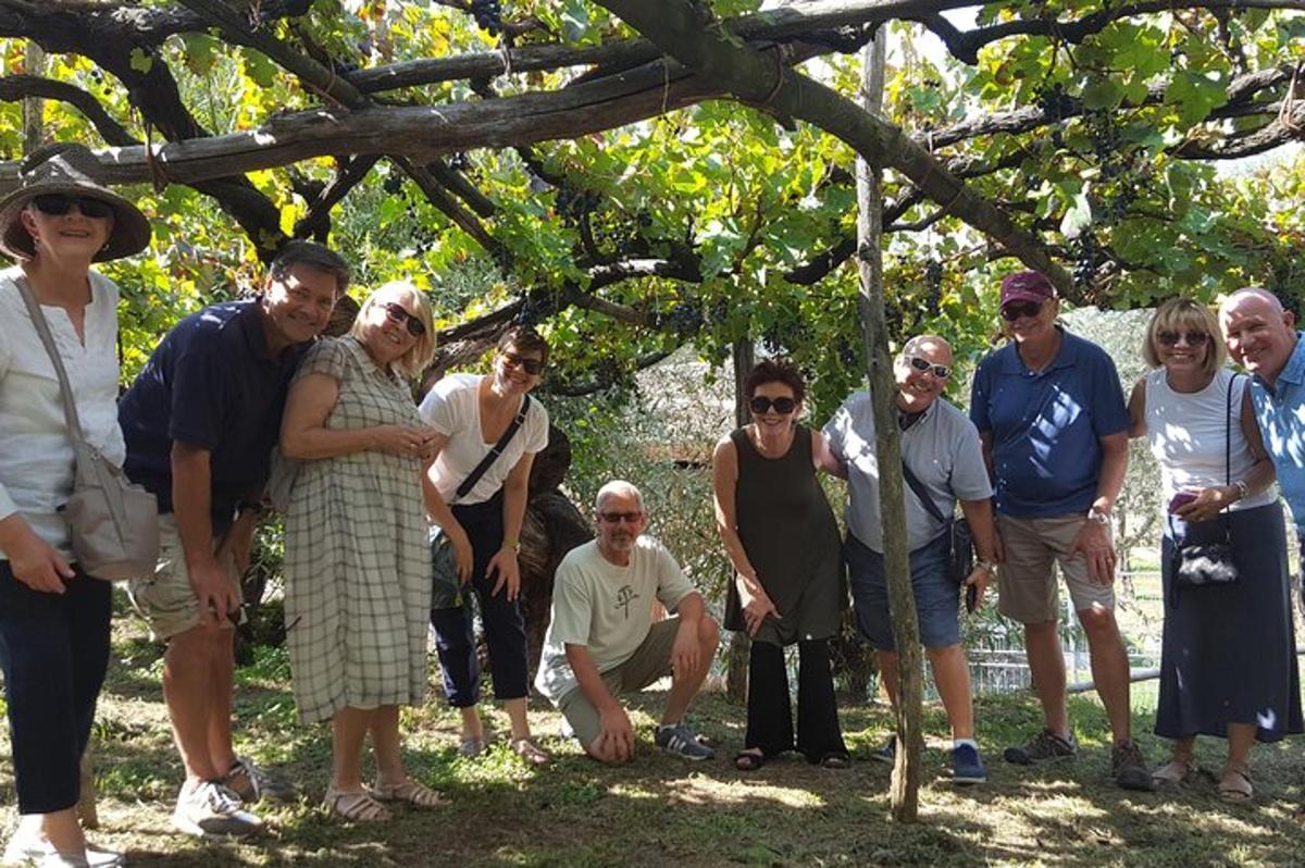 a group of people standing under a tree