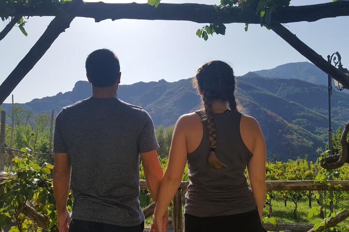 a man and a woman standing in a vineyard holding hands