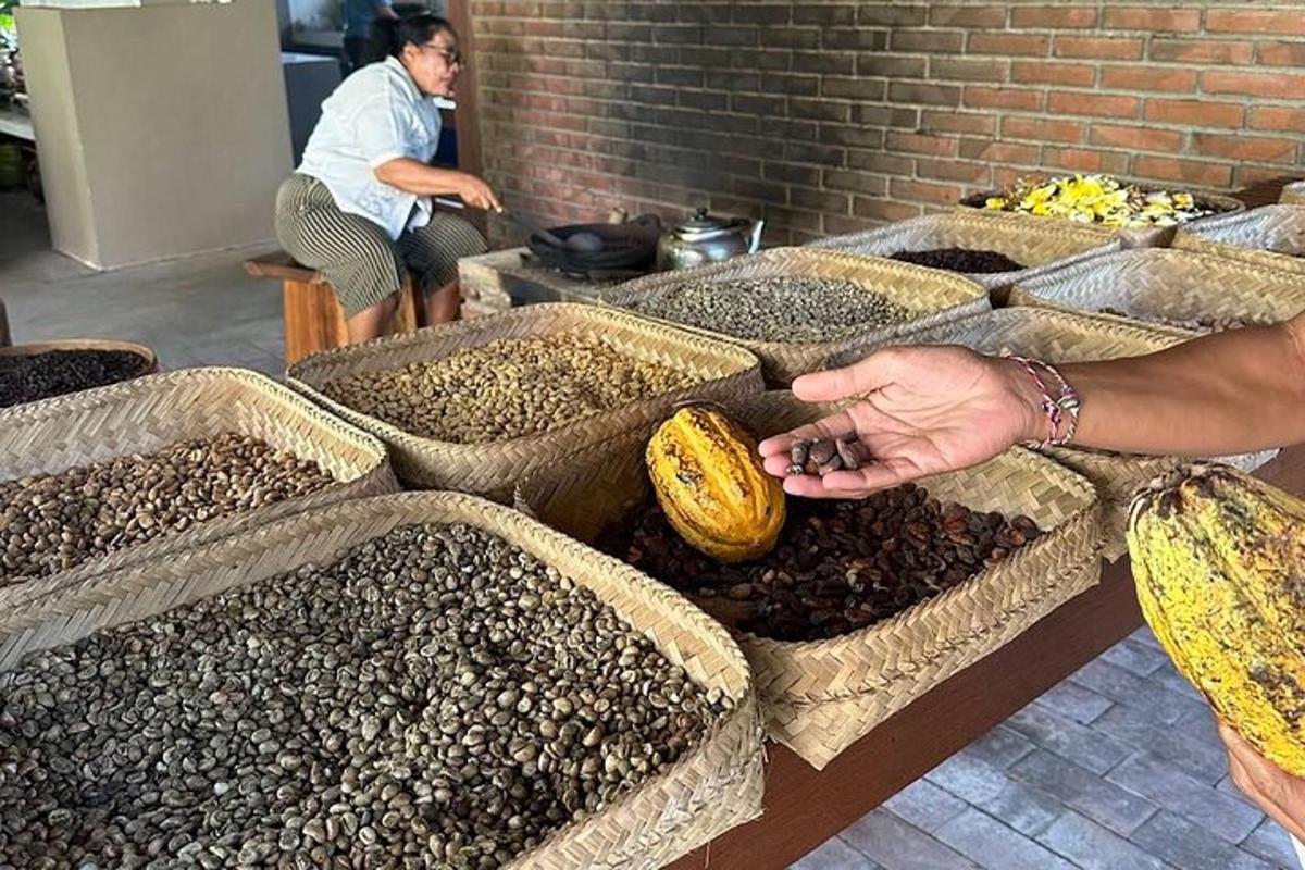 a person reaching for a bunch of bags of seeds