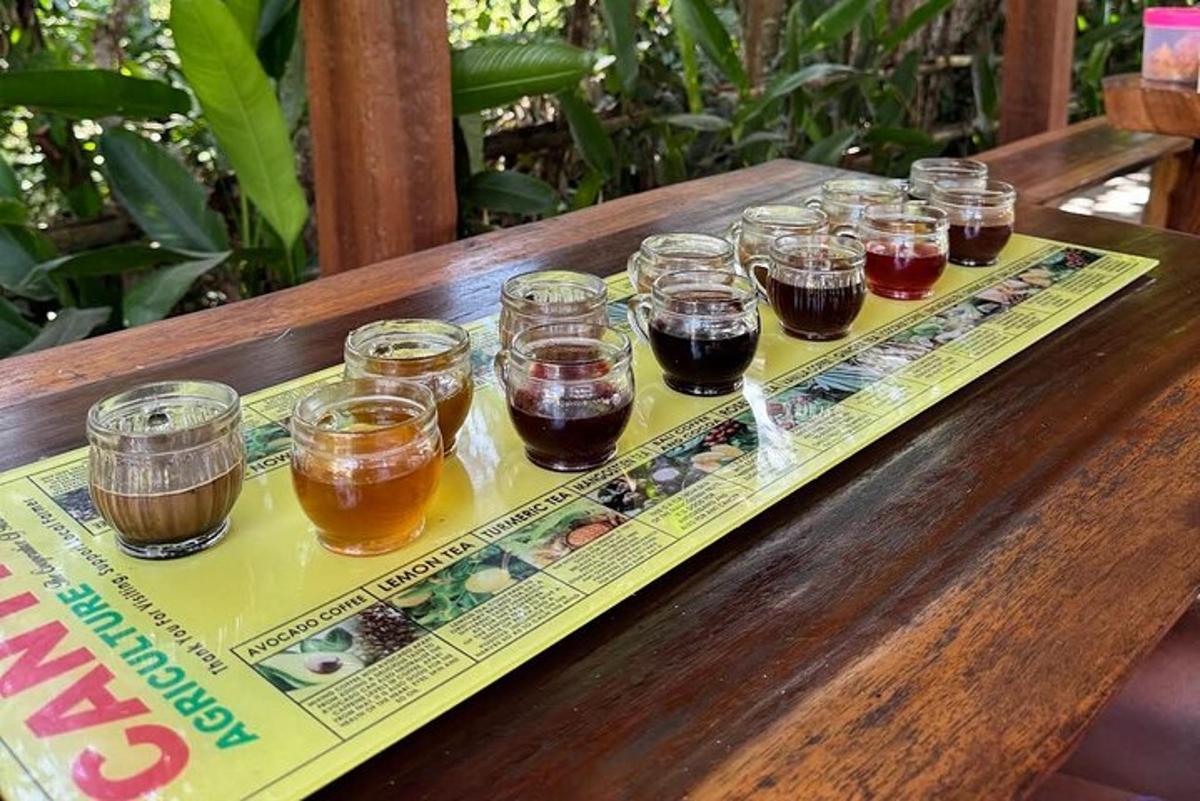 a tray of glasses of beer sitting on a table