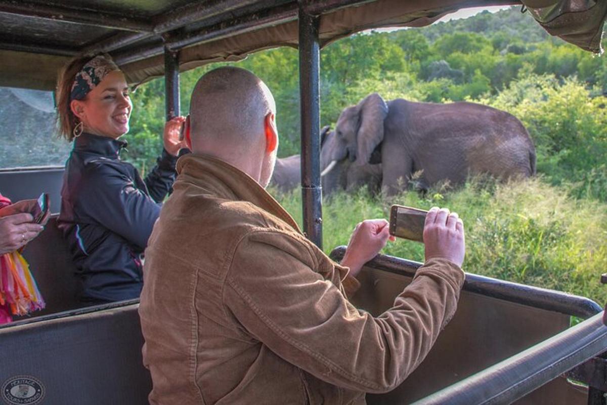 un hombre tomando una foto de un elefante