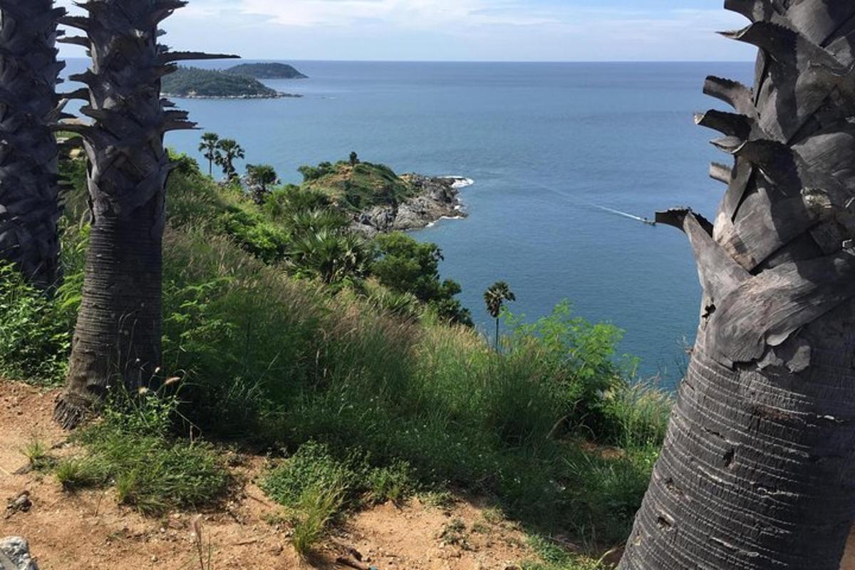 tanawin ng karagatan mula sa isang burol na may puno ng palma