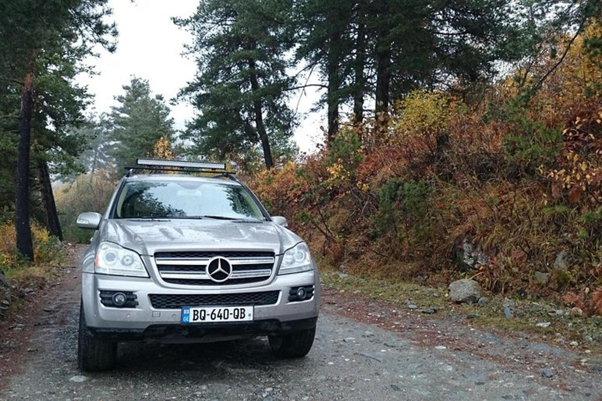 hõbedane auto pargitud kruusateele