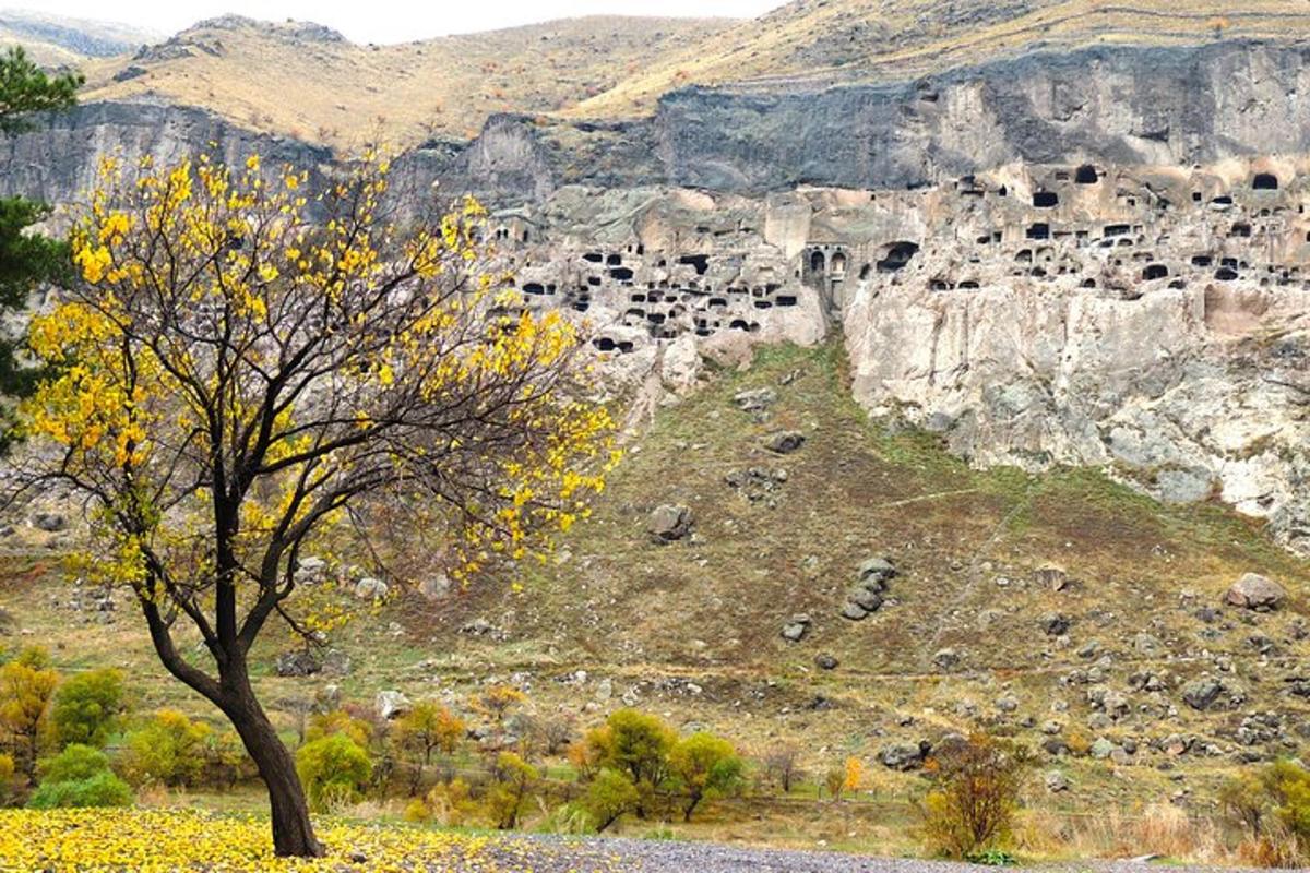 uma árvore em frente a uma montanha com um bando de vacas
