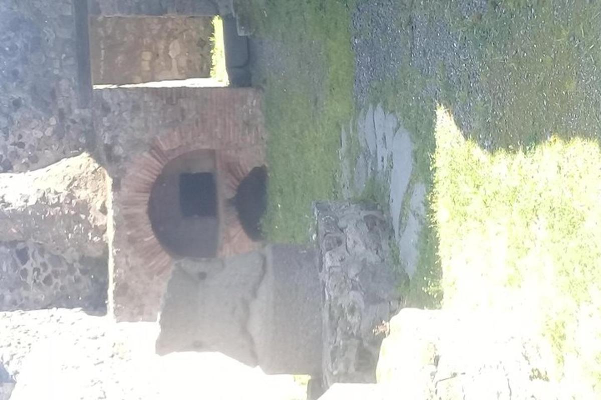 ptak siedzący na ścianie budynku