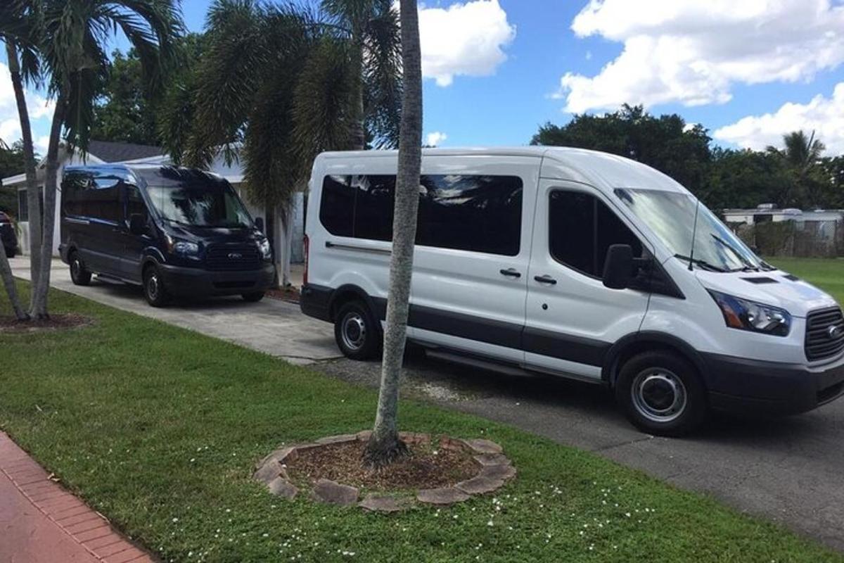 uma van branca estacionada ao lado de uma palmeira