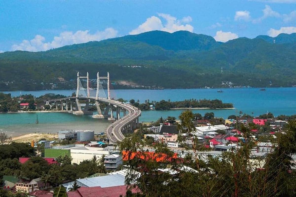 a bridge over a body of water next to a city