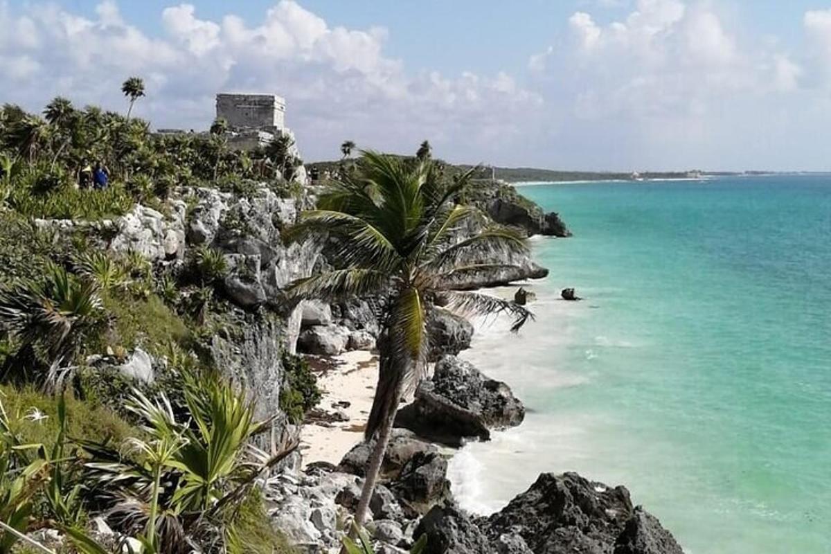 Una palmera sentada en lo alto de una playa rocosa