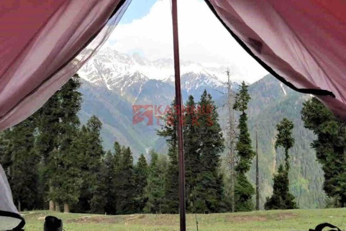 a view from inside a tent looking at a mountain