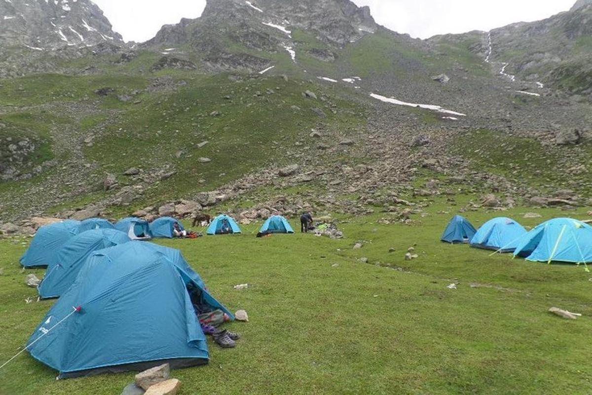 a group of blue tents in a field with a mountain