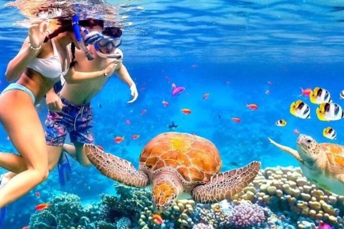 dva človeka fotografirata želvo v oceanu