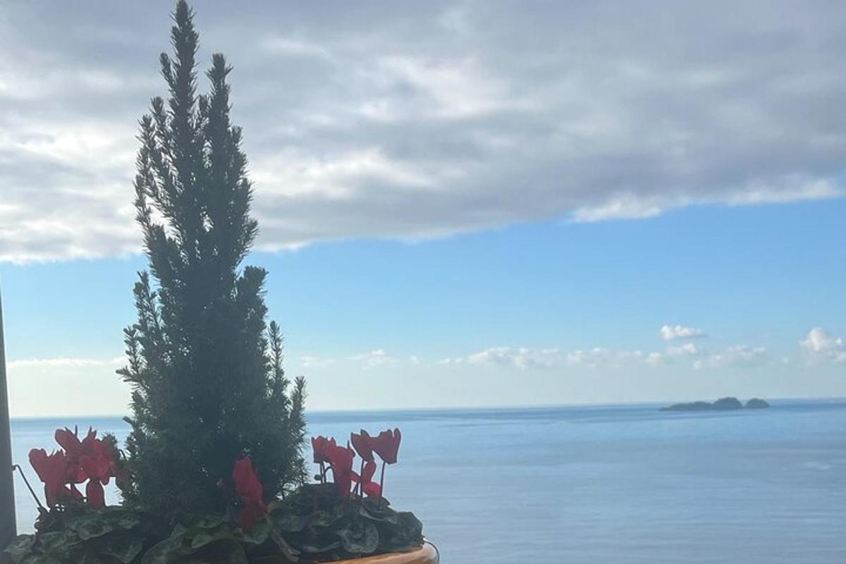 květináče s květinami před oceánem