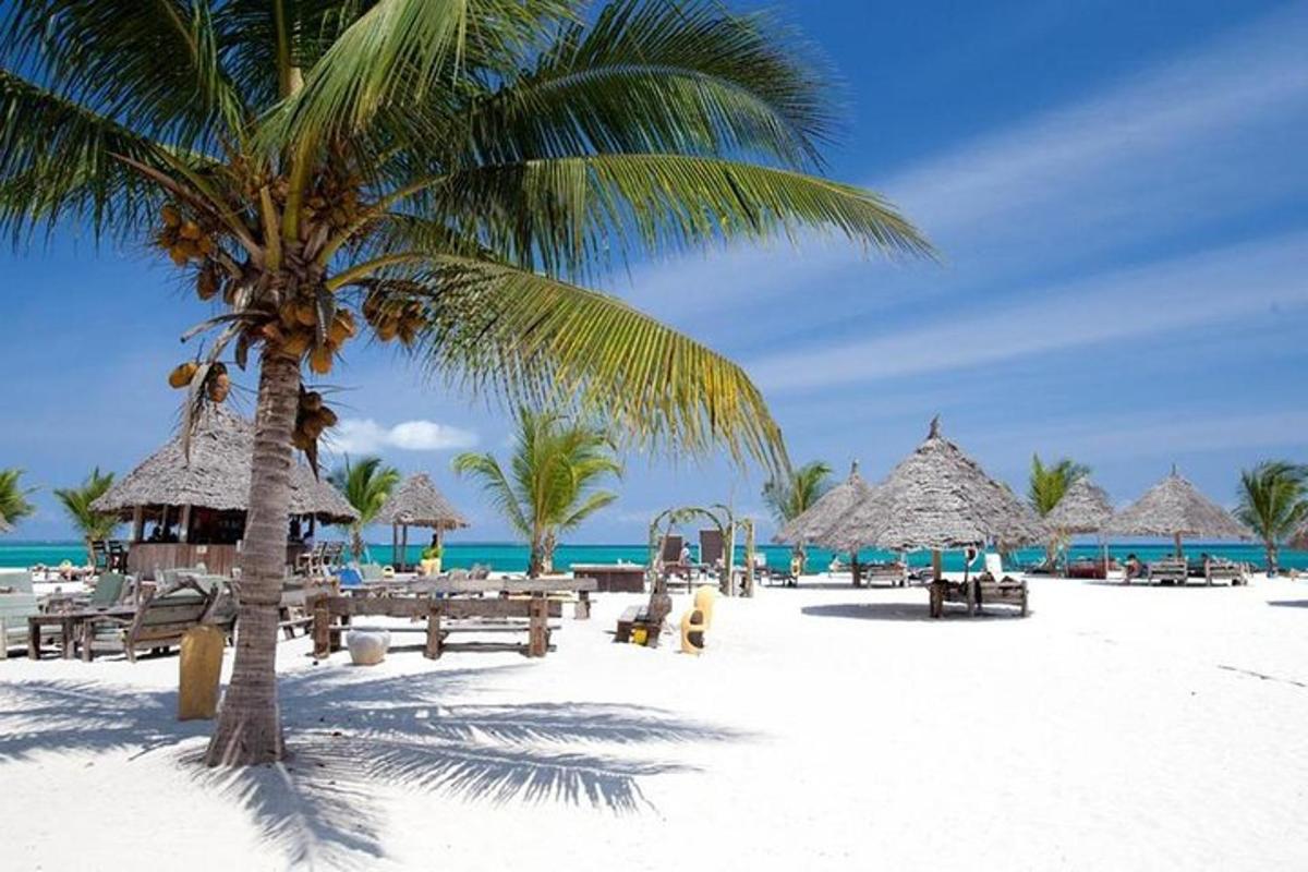 pantai dengan pokok palma dan meja serta payung