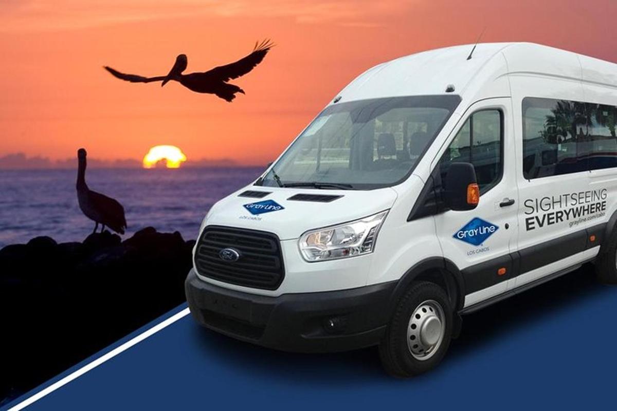 en hvit varebil parkert ved havet med en fugl