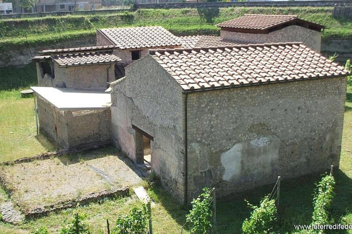 Foto dell’attrazione numero 6