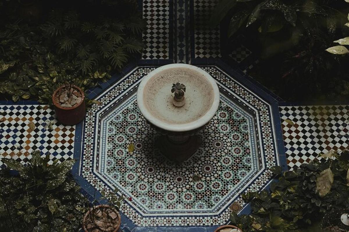 uma pia sobre um piso de ladrilho com plantas