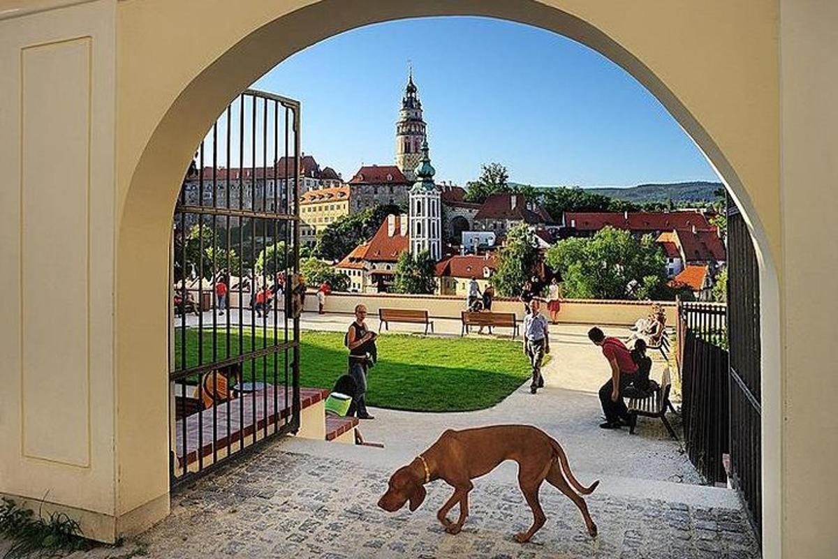 pes procházející otevřenou branou s městem